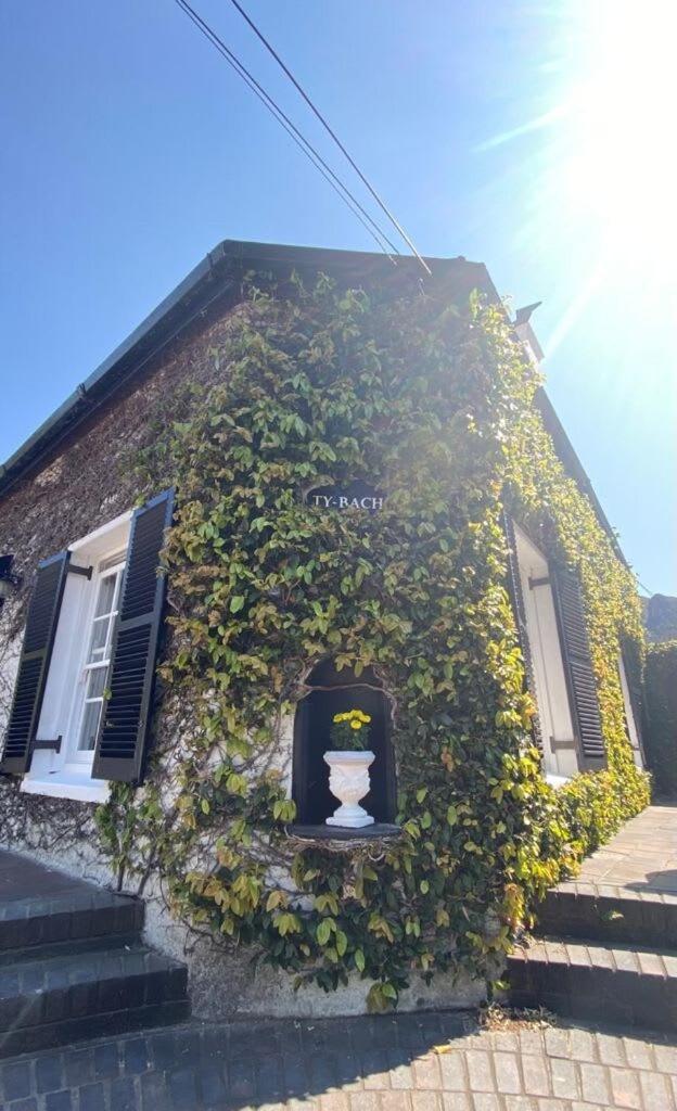 Ty-bach Cotttage Leafy Newlands Village